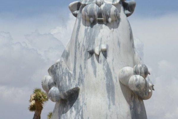 joshua-tree-cool-cat-2