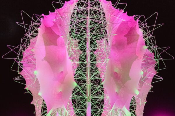 coachella-art-2022-kirby-gladstein-1